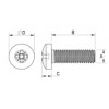 Linsenschraube Metall  Kreuz DIN 9785 [342-m] (342011041553)